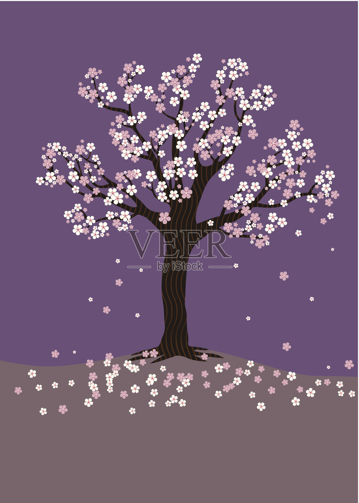 紫色背景上的樱花树插画图片素材