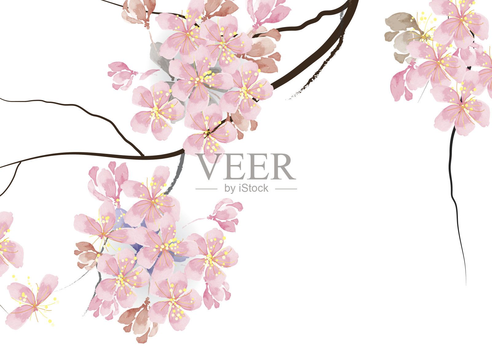 樱花带枝粉红色的水彩外观设计元素图片
