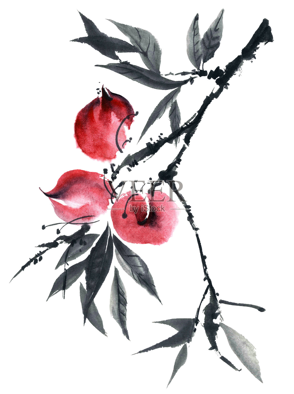 水彩桃子树插画图片素材