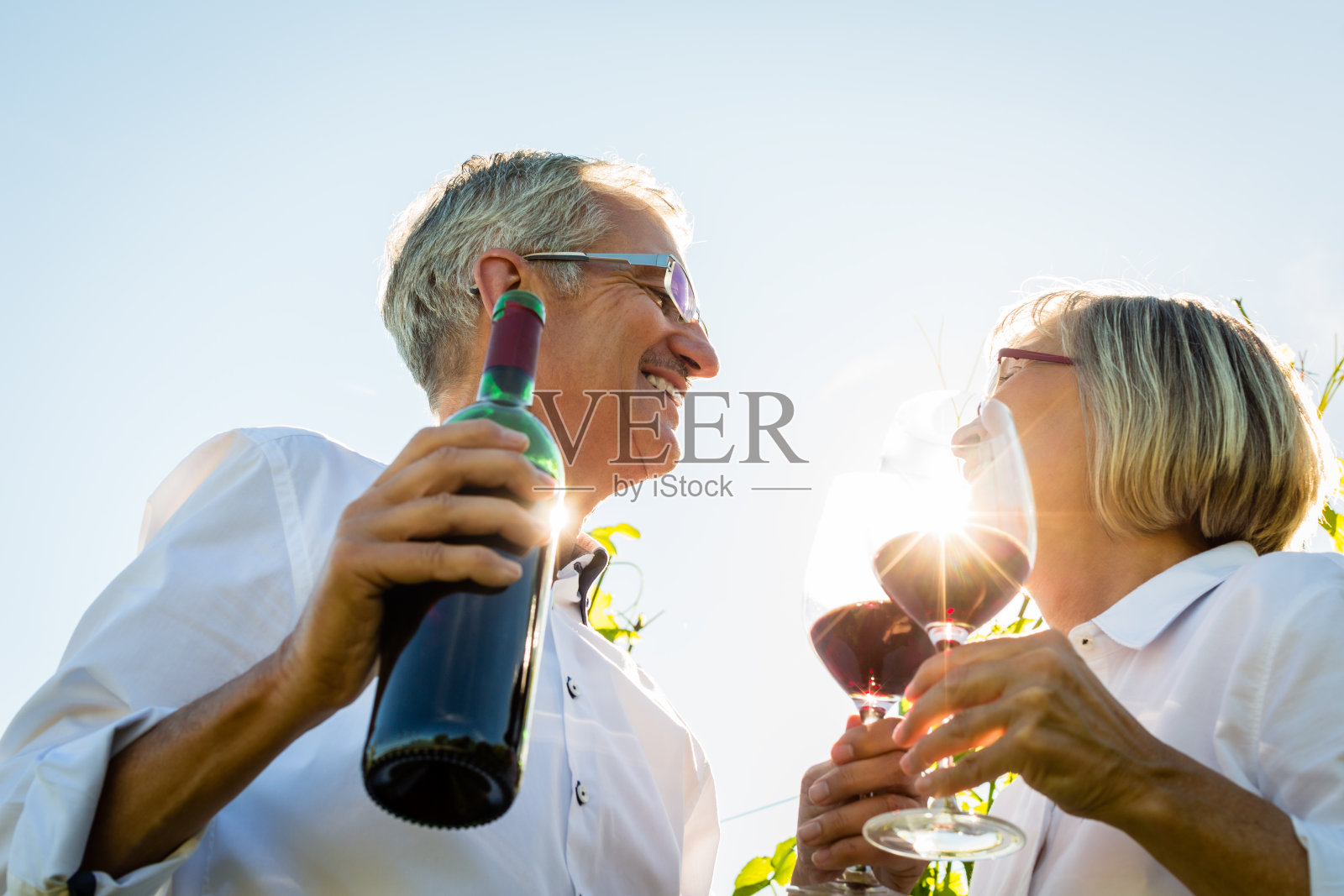 老夫妇在葡萄园里用酒杯敬酒照片摄影图片