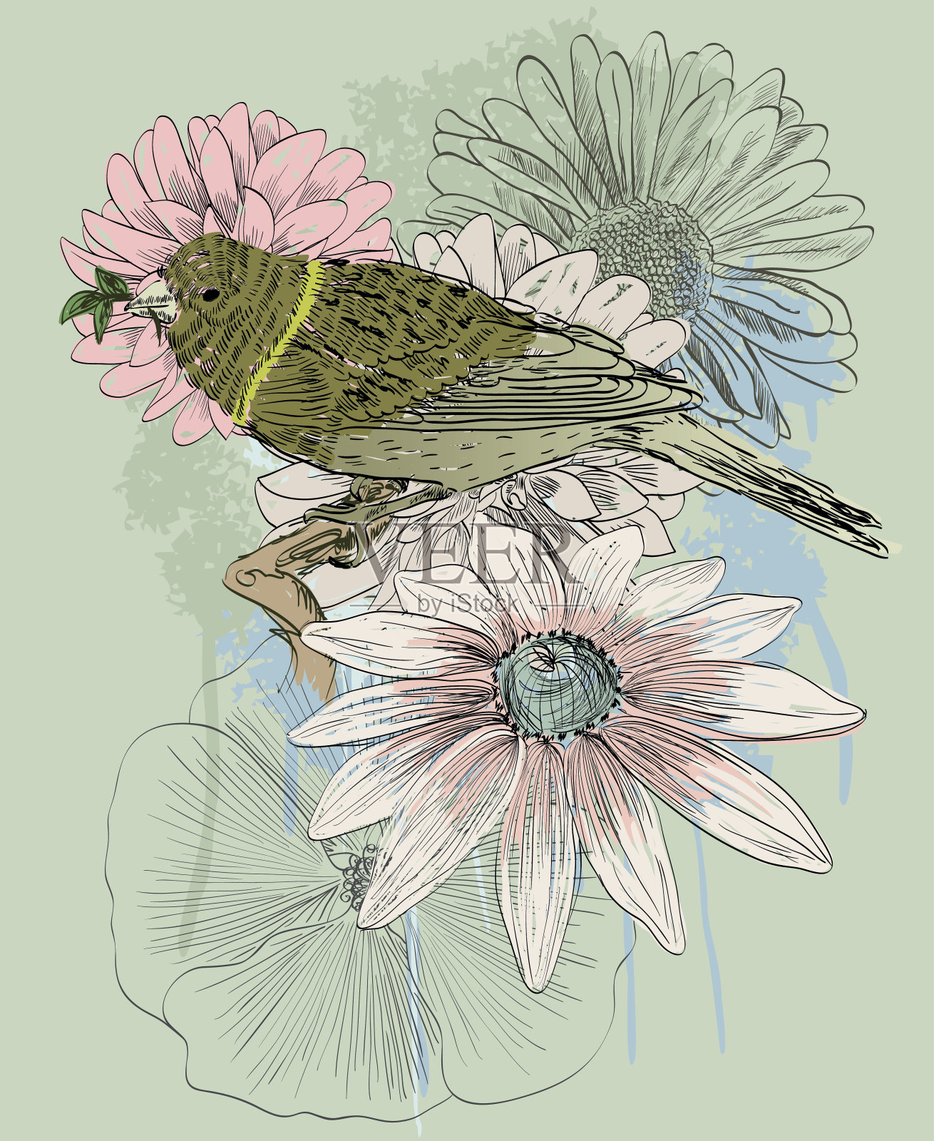 鸟和花插画图片素材