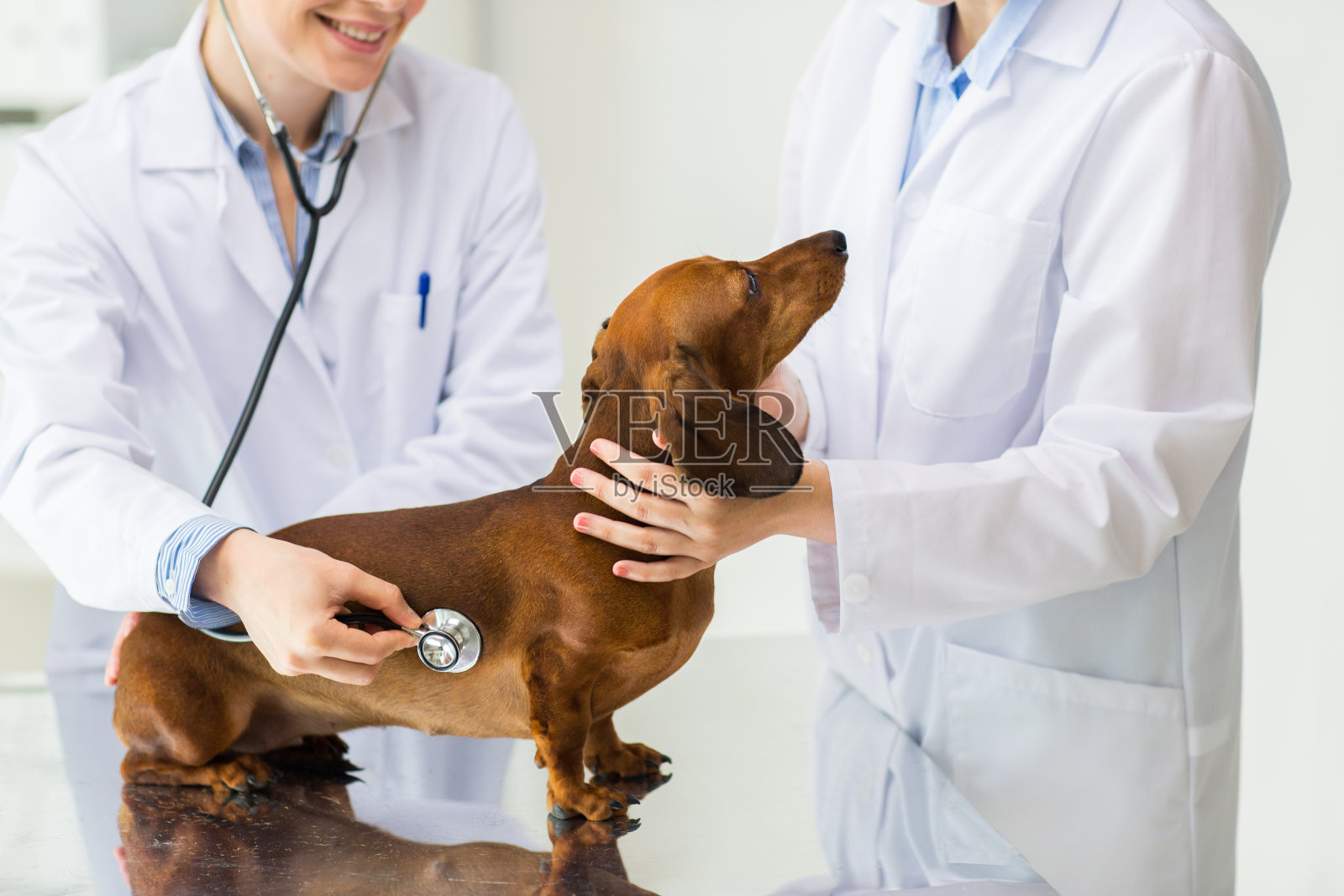 靠近兽医与听诊器和狗在诊所照片摄影图片