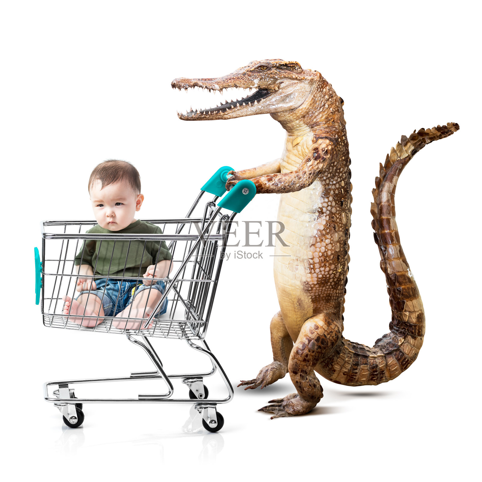 亚洲小男孩和鳄鱼在购物车里照片摄影图片