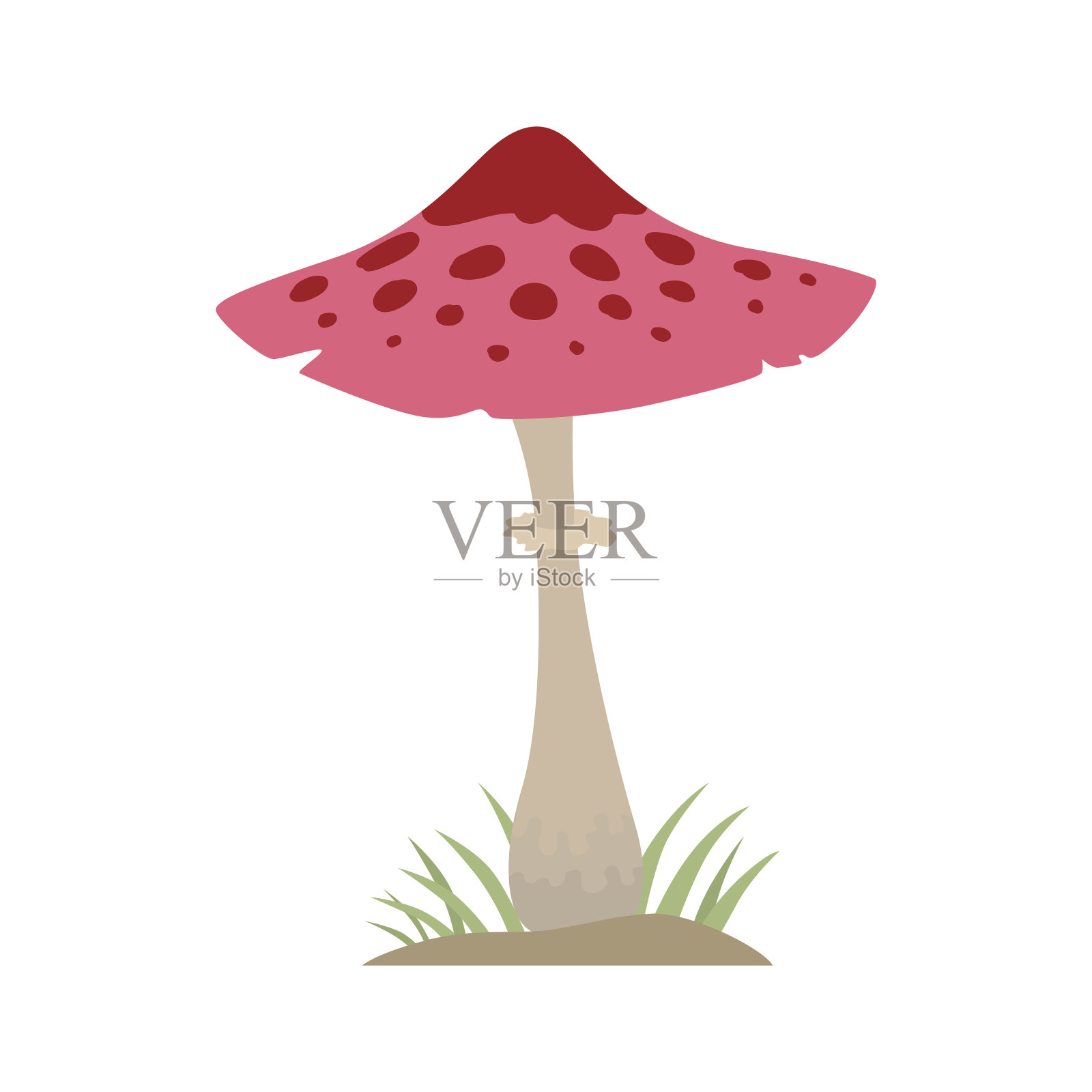 有毒的红蘑菇自然食品素食健康的秋天食用和真菌有机蔬菜原料矢量插图插画图片素材