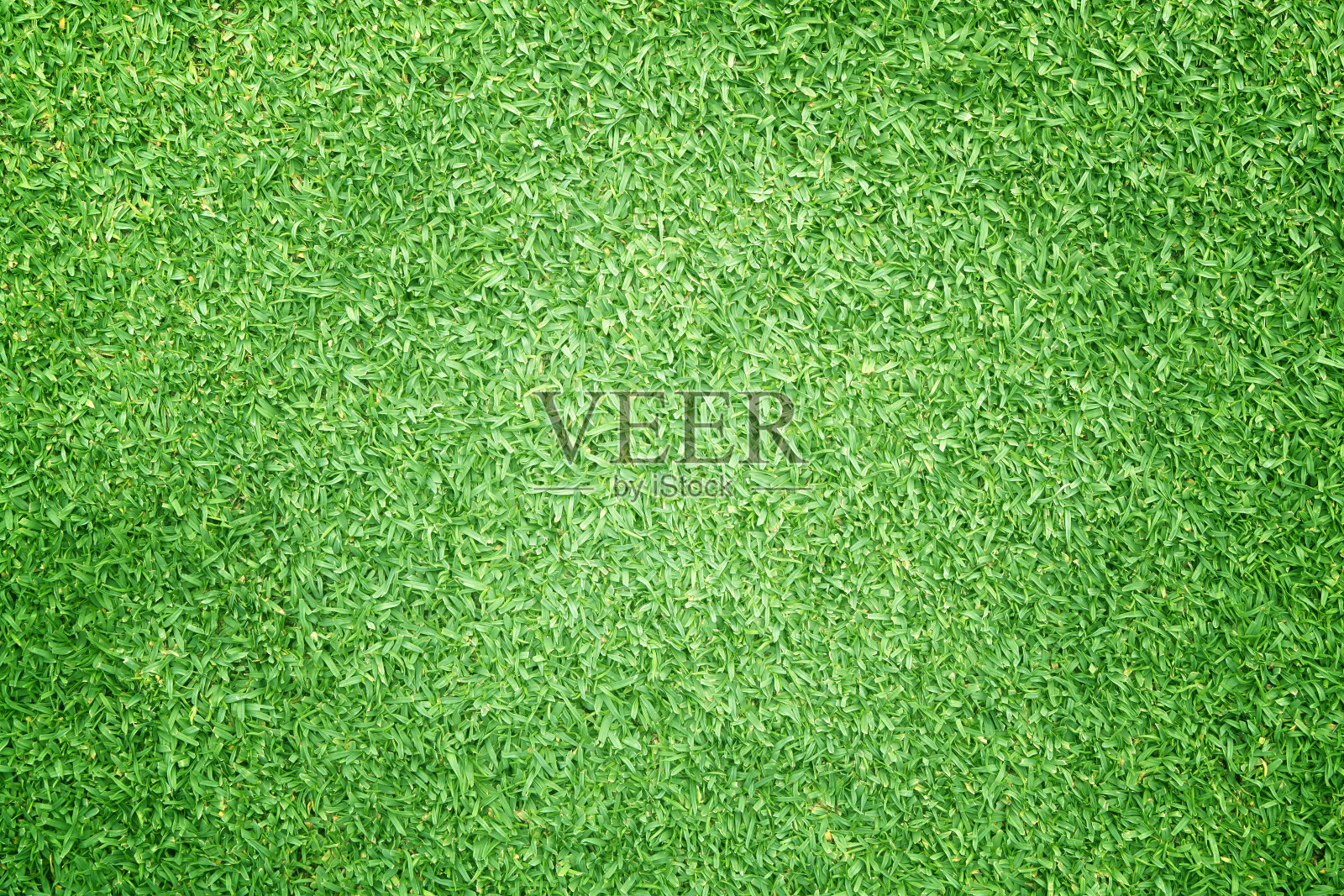 草地背景高尔夫球场绿色草坪格局设计元素图片