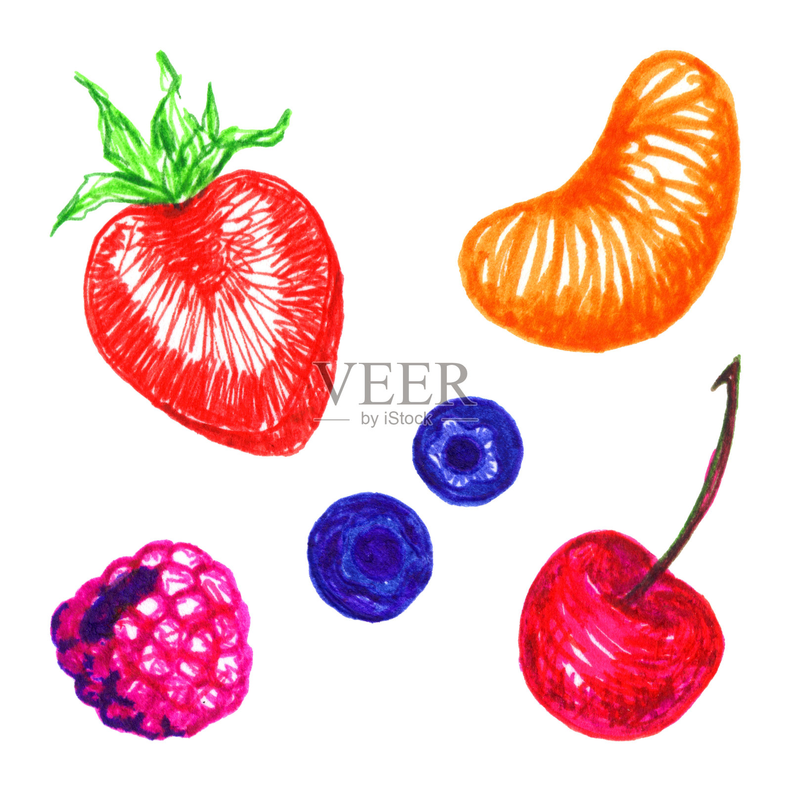 草莓，樱桃，蓝莓，覆盆子，柑桔，果素描设置孤立插画图片素材