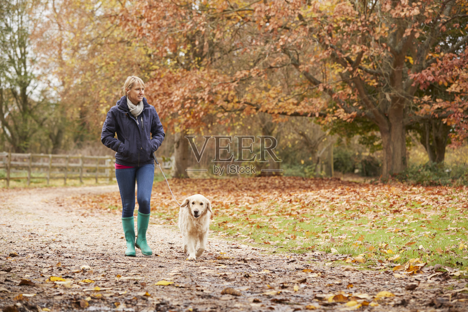 秋天的成熟女人和拉布拉多犬一起散步照片摄影图片