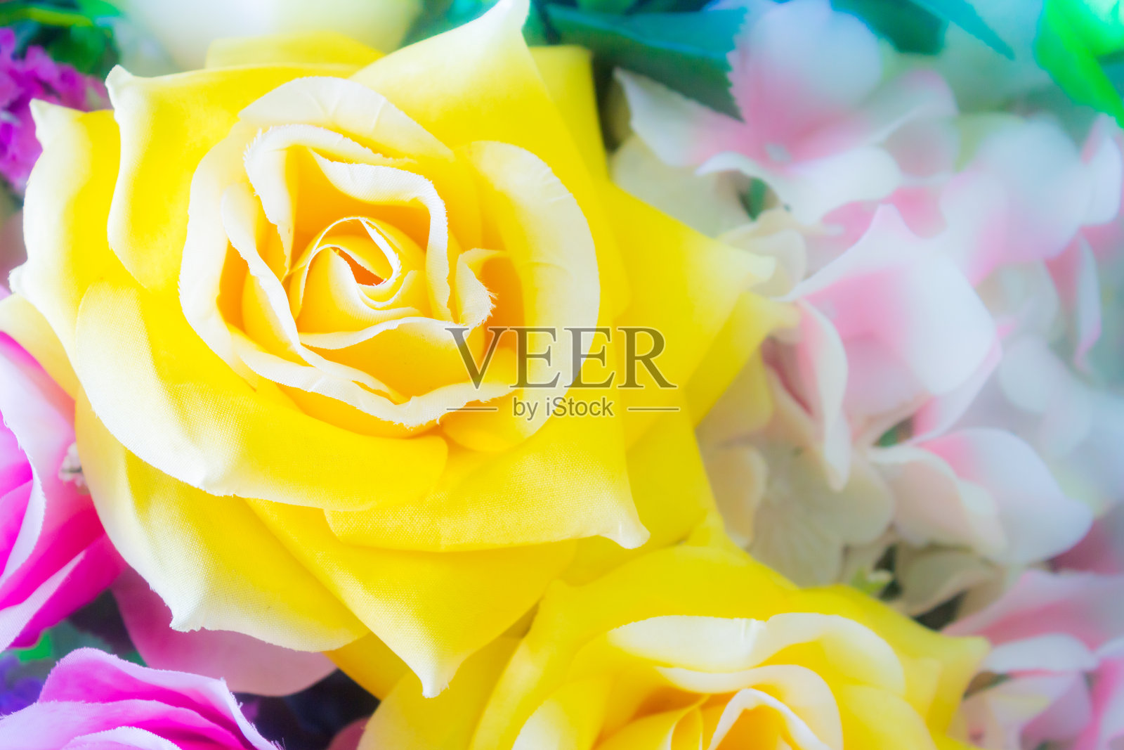 黄玫瑰花朵照片摄影图片