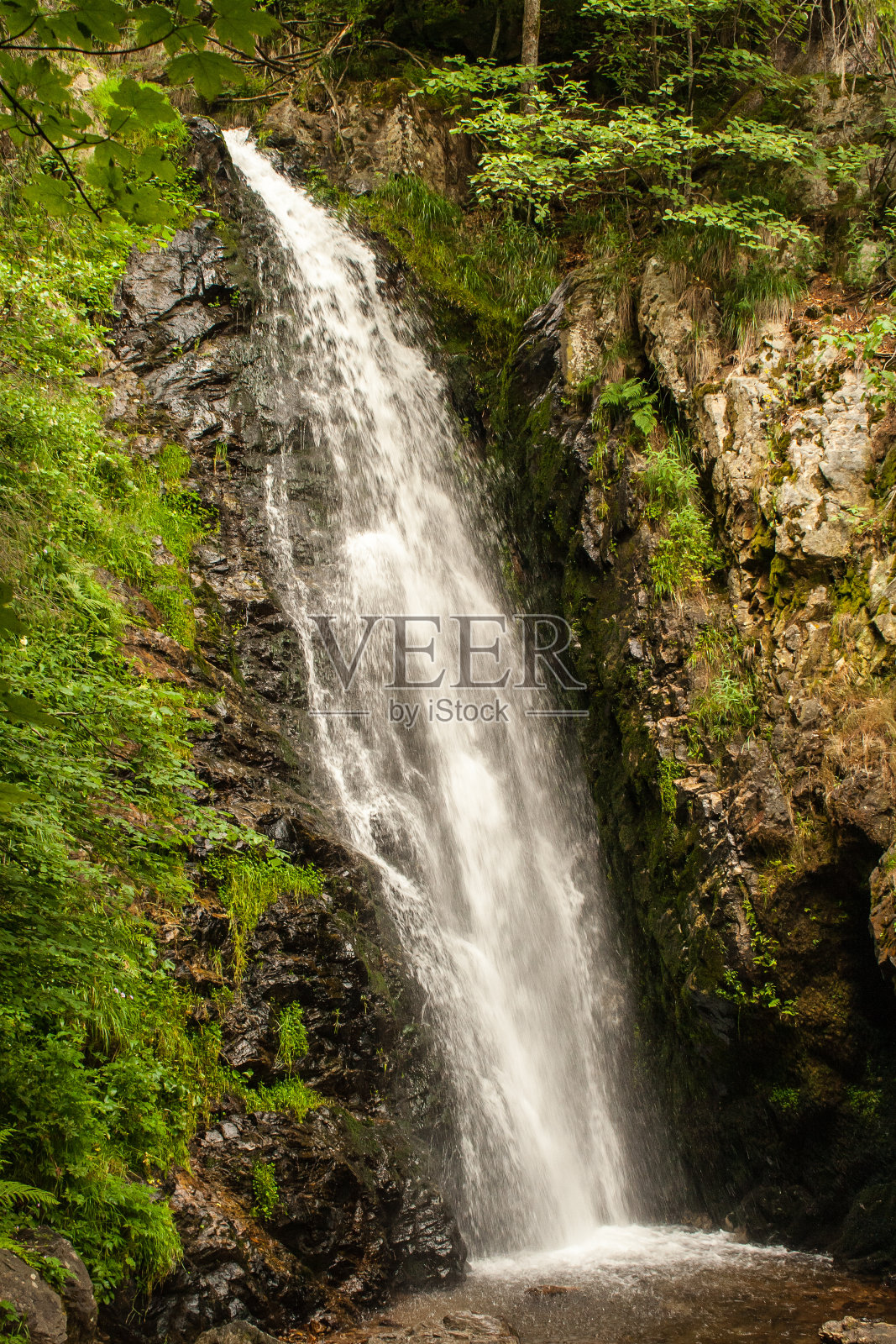 德国黑森林小镇totnau附近的瀑布照片摄影图片