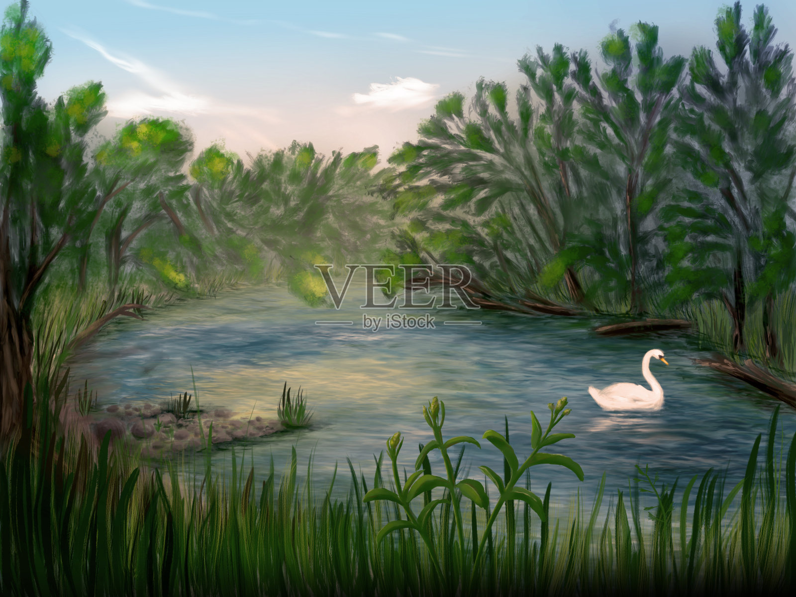 天鹅在河里游泳的田园诗般的风景，数码绘画插画图片素材