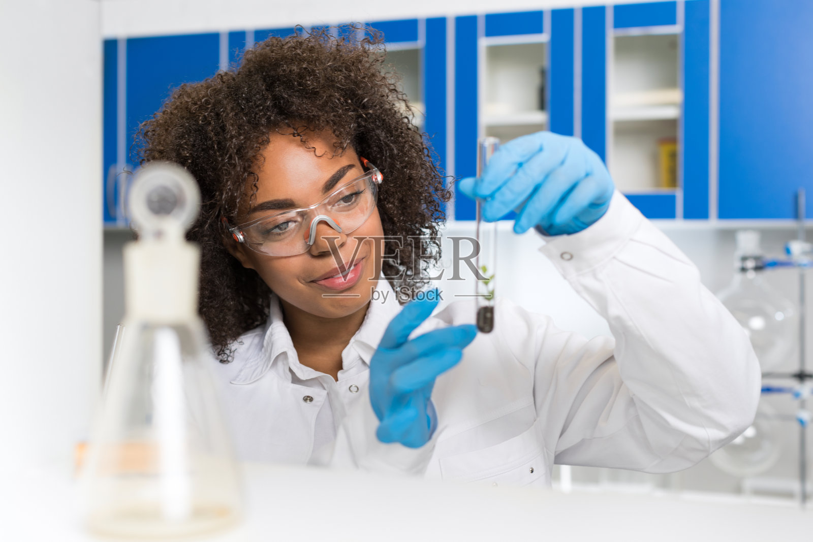 女实验室科学家在试管中检查植物样本，在遗传学实验室工作照片摄影图片