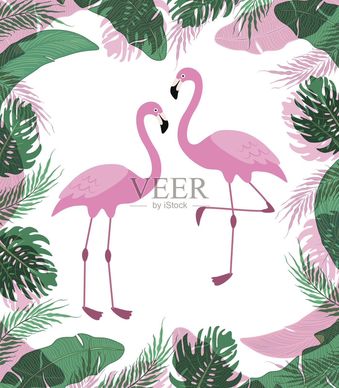 可爱的异国情调的热带背景与卡通人物的两个粉红色火烈鸟插画图片素材