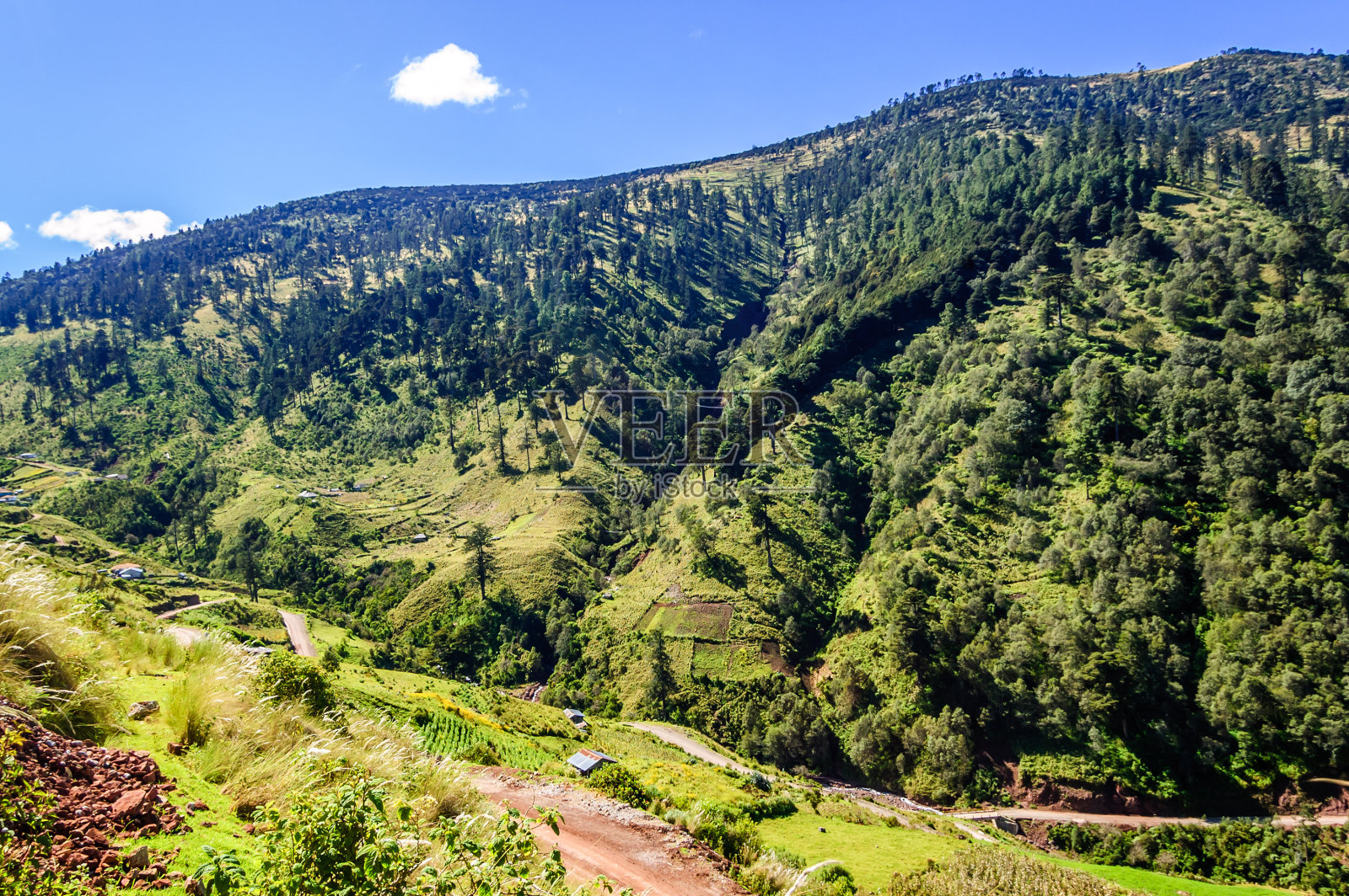 危地马拉高地上的森林丘陵照片摄影图片