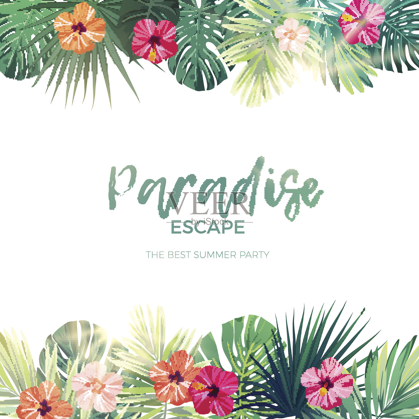 绿色的夏季热带背景与异国情调的棕榈叶和芙蓉花。向量的背景插画图片素材