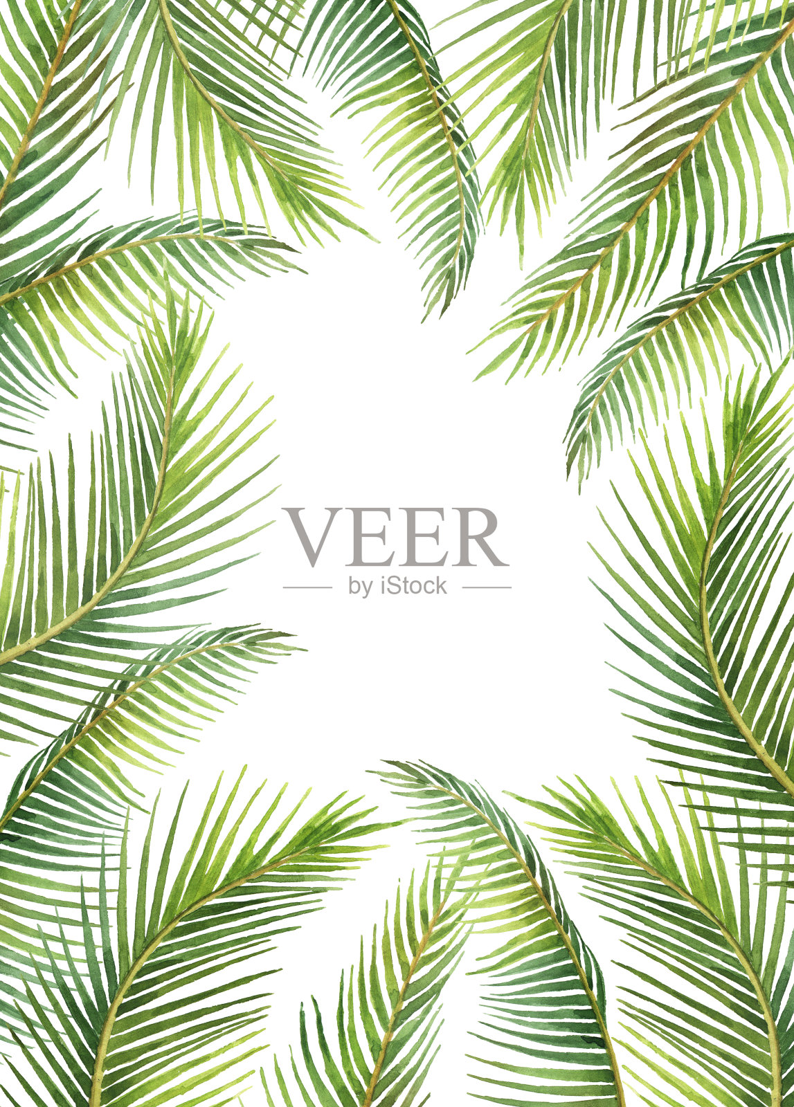 水彩框架热带树叶和树枝孤立在白色的背景。设计元素图片