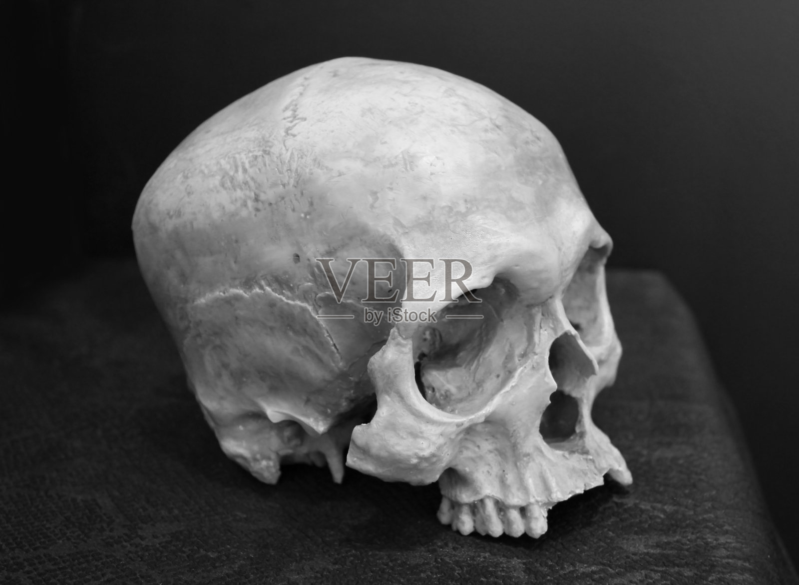 风化的人类头骨的黑白图像。照片摄影图片