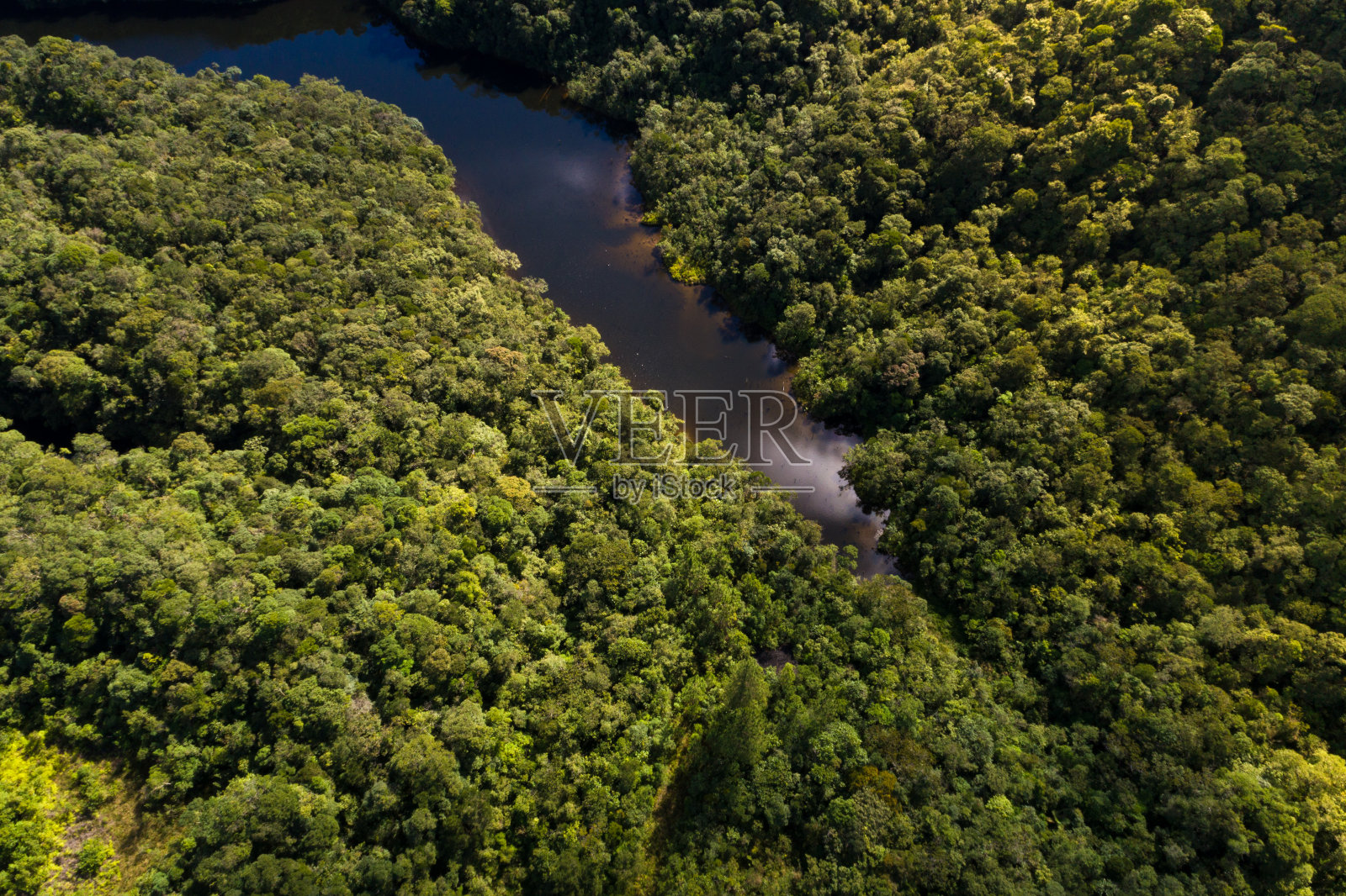 顶层视图的河流在热带雨林照片摄影图片