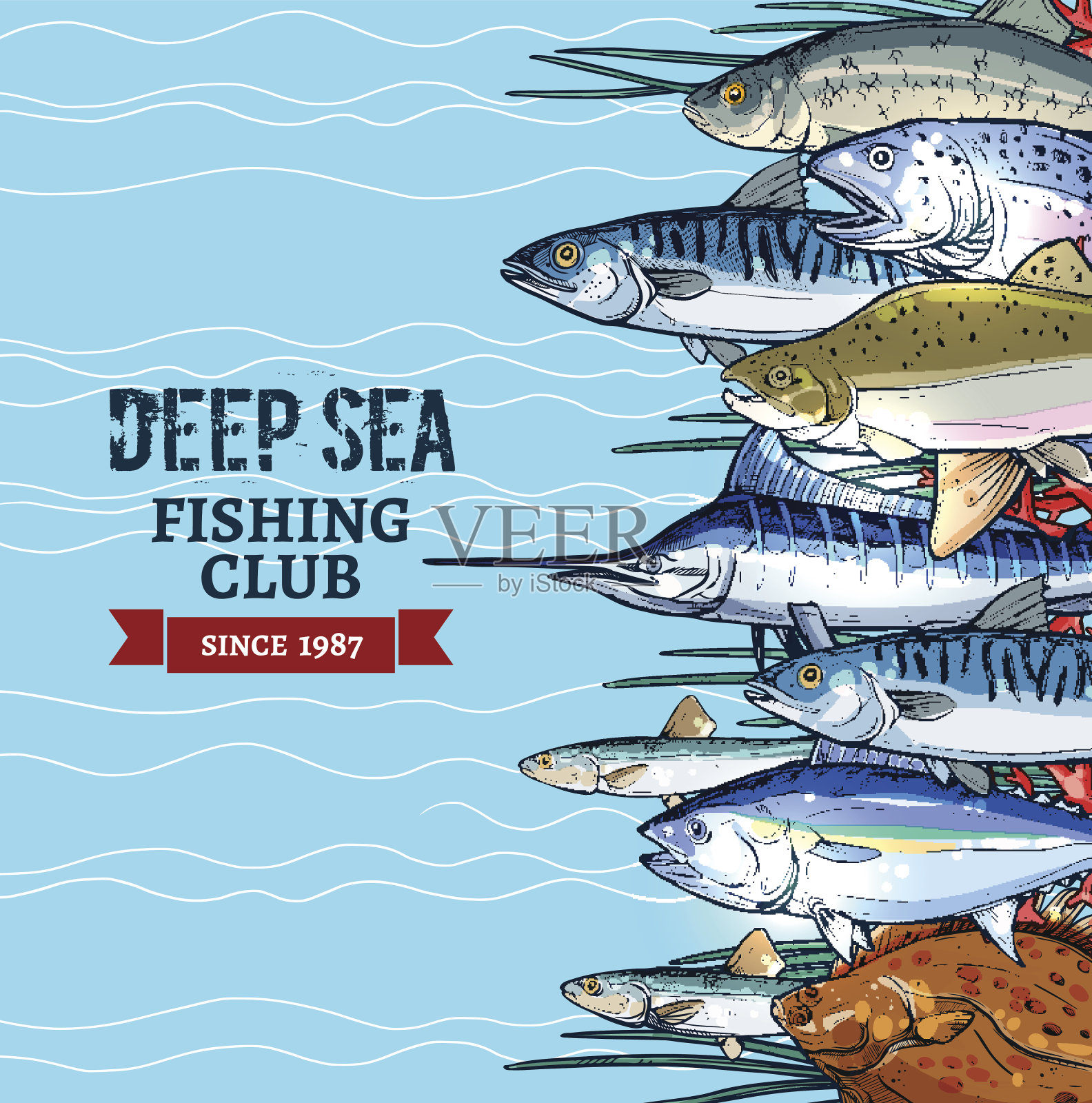 海钓俱乐部海报设计与鱼素描插画图片素材