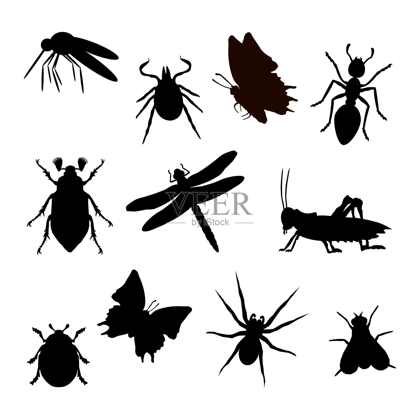 昆虫剪影施瓦茨设计元素图片