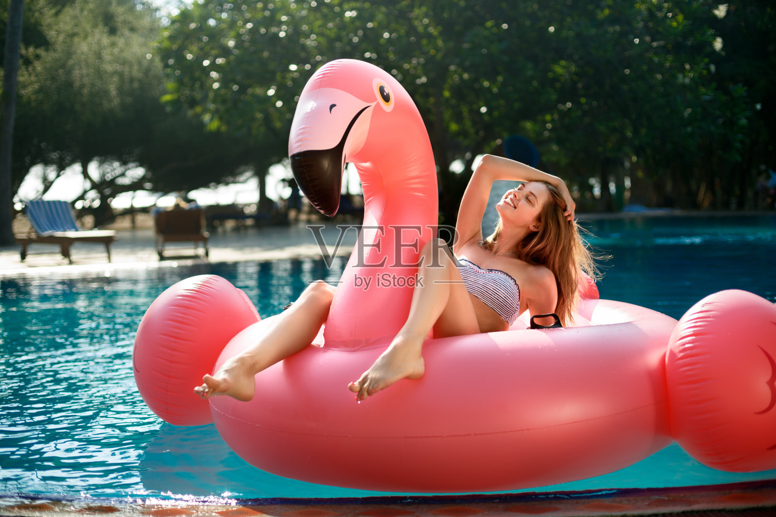 年轻和性感的女孩有乐趣和大笑在一个充气巨大的粉红色火烈鸟游泳池浮在比基尼床垫。迷人的古铜色女人躺在阳光下度假照片摄影图片