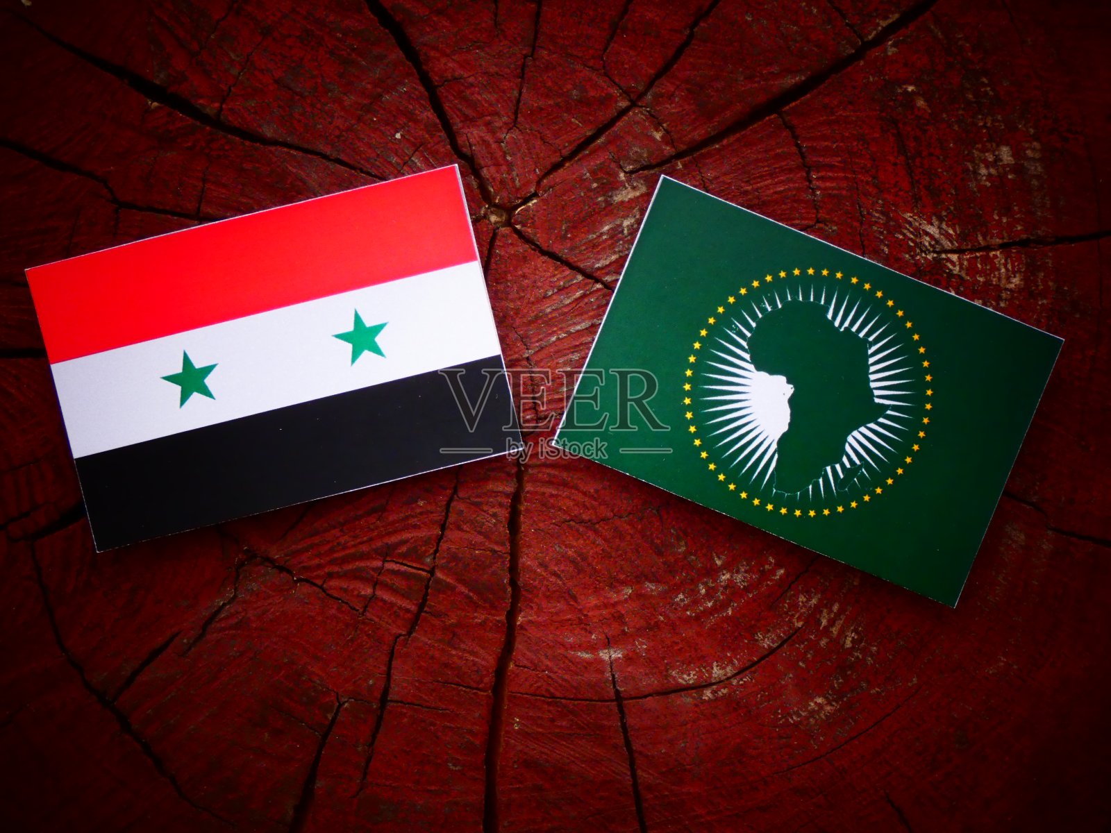 叙利亚国旗和非盟旗帜孤立地挂在树桩上照片摄影图片