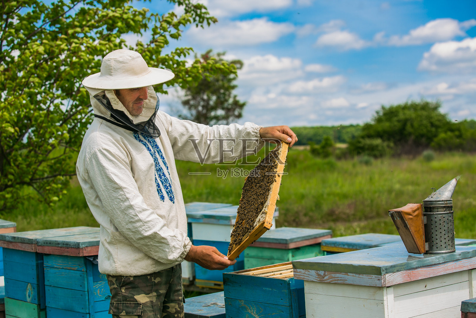 养蜂人在养蜂场里处理蜜蜂和蜂箱。照片摄影图片
