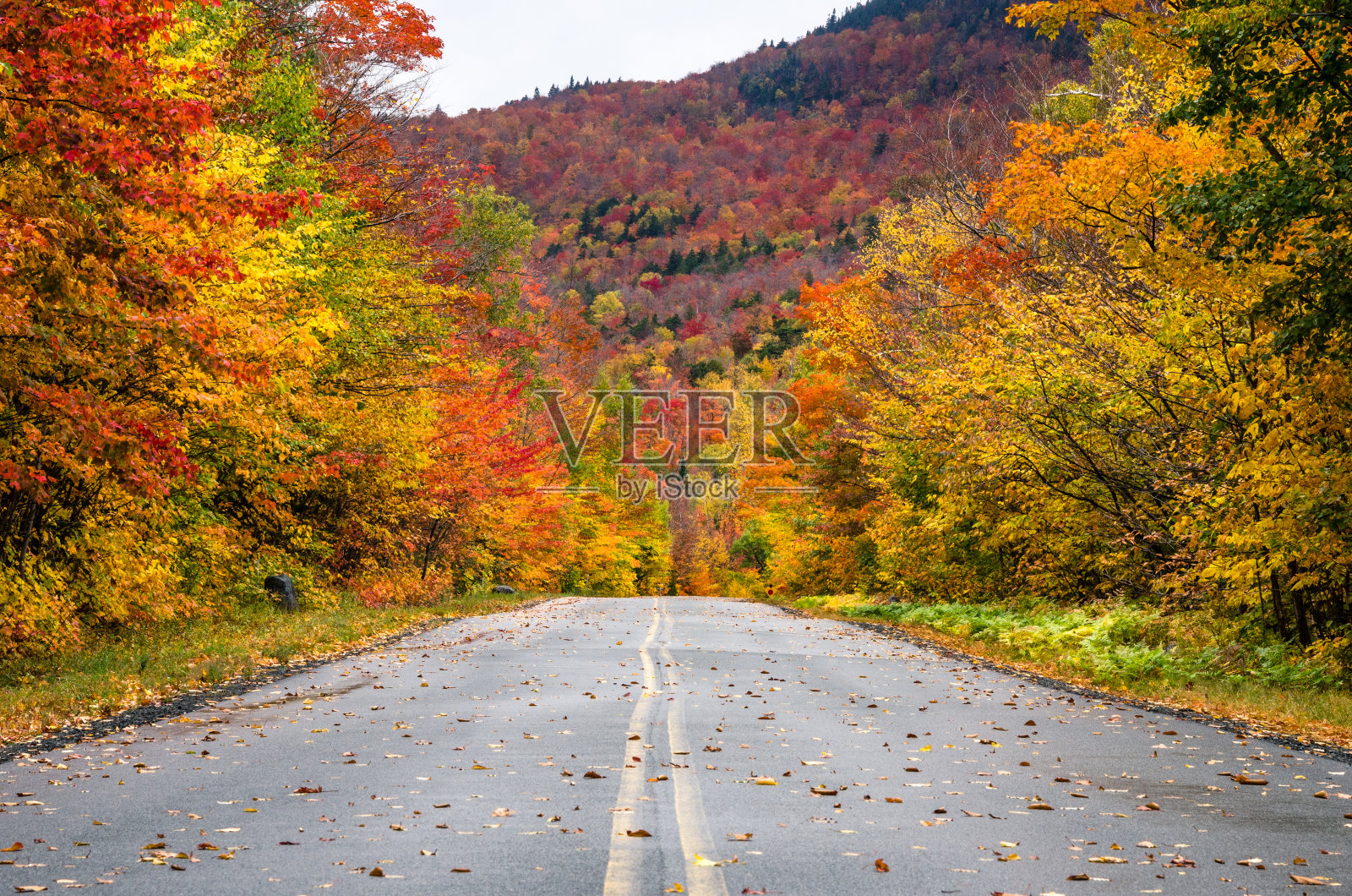 美丽的秋色沿着风景优美的山路照片摄影图片