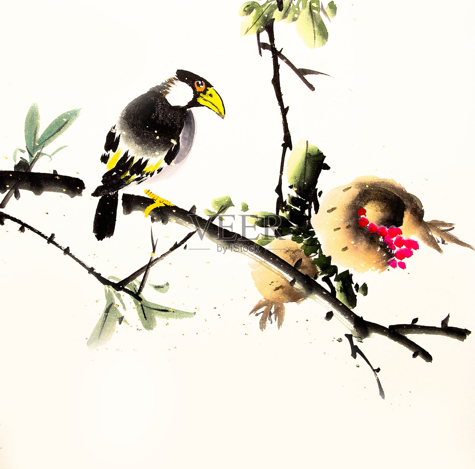 中国水墨画鸟和植物设计元素图片