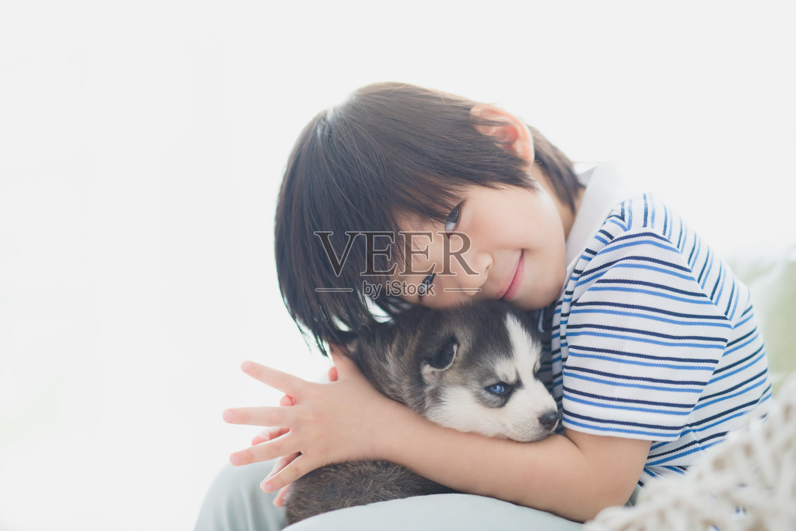 可爱的亚洲孩子与西伯利亚哈士奇狗玩耍照片摄影图片