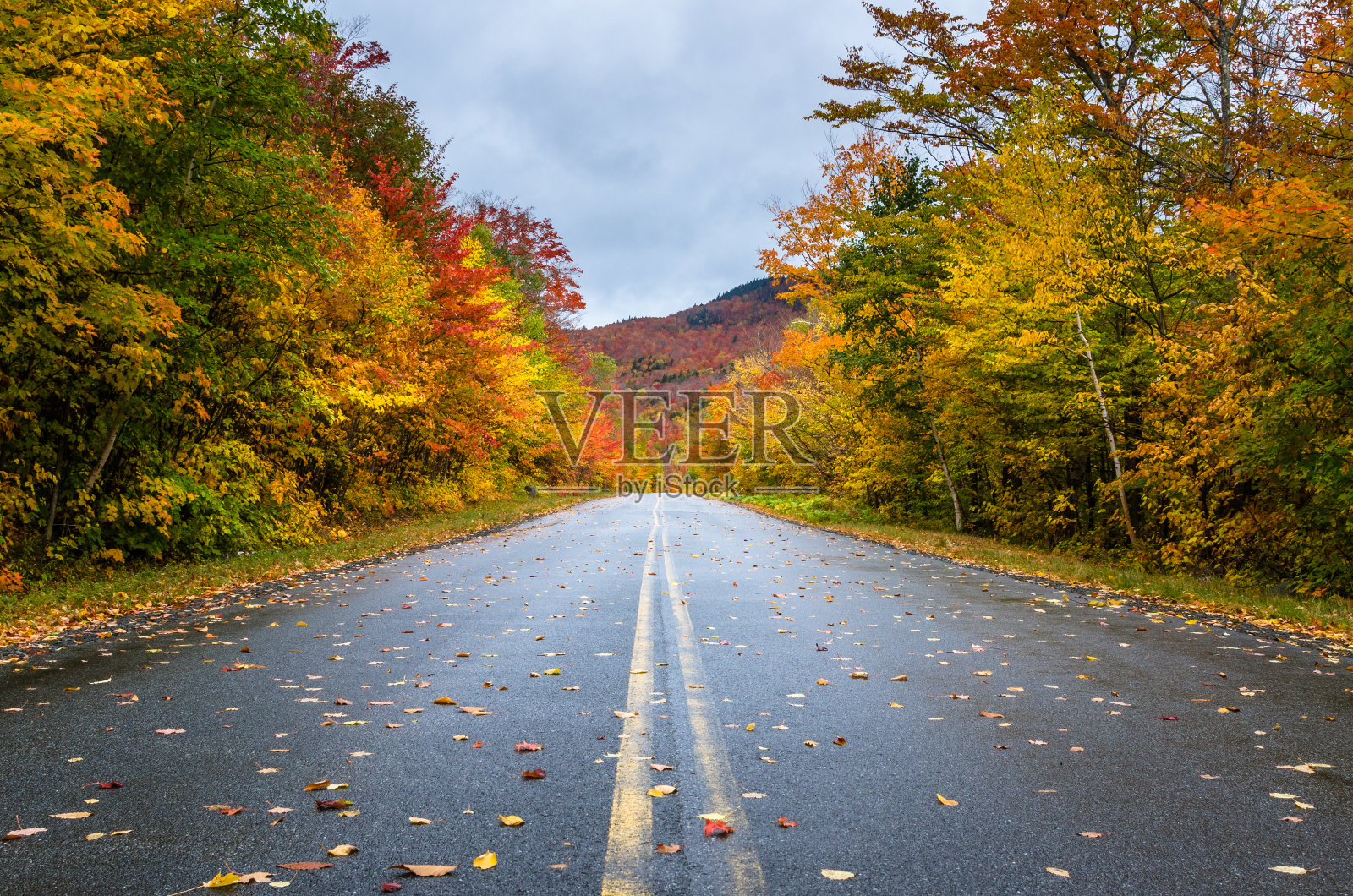 秋天风景区山路在一个雨天照片摄影图片
