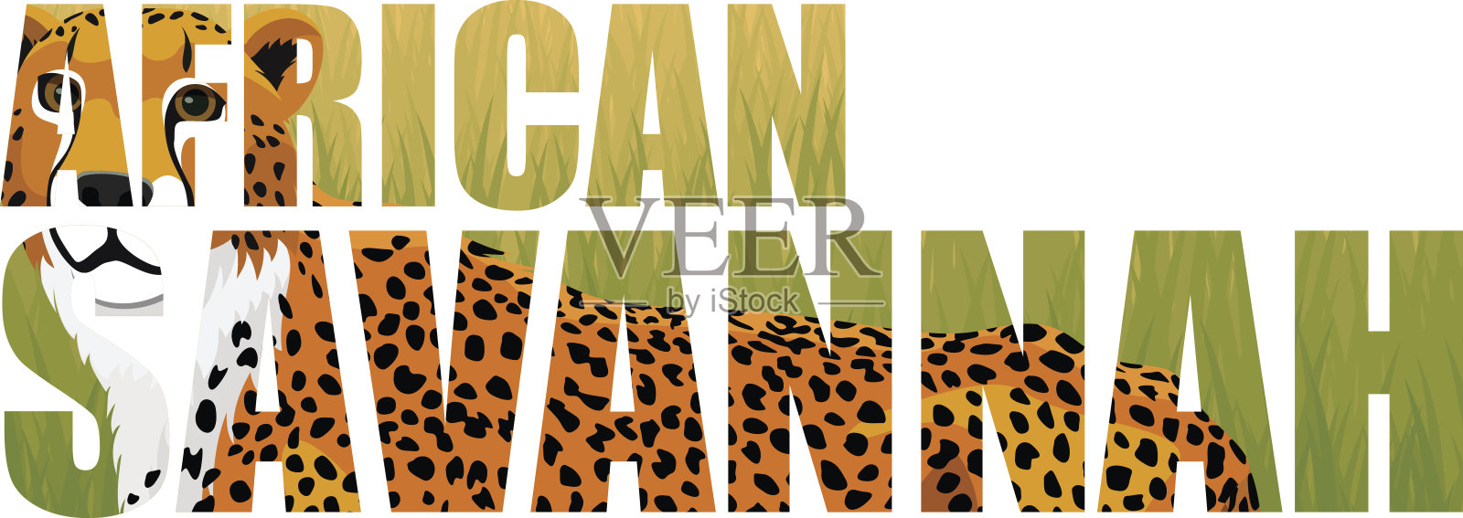 媒介非洲猎豹(美洲豹)插图插画图片素材
