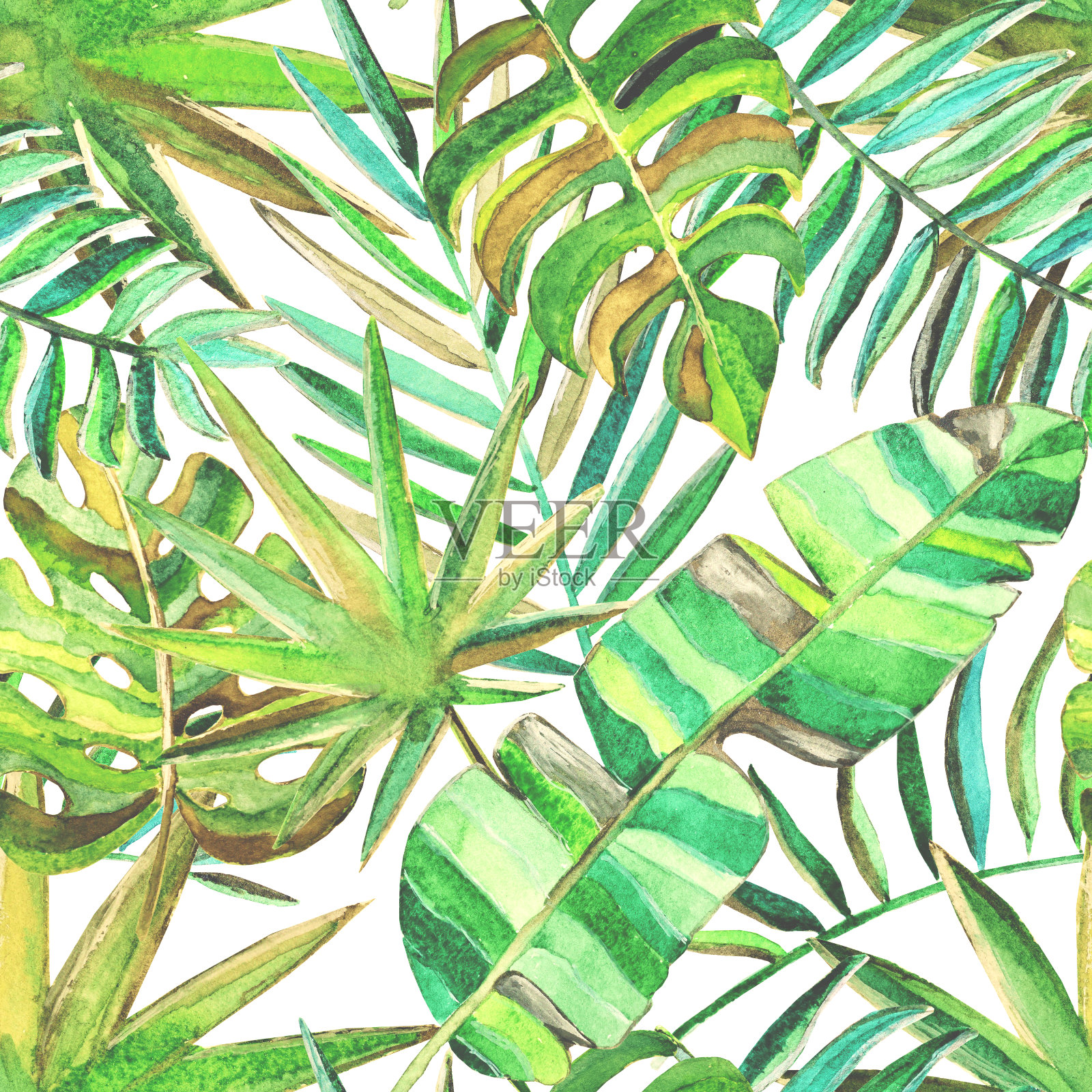 无缝模式与水彩热带树叶插画图片素材