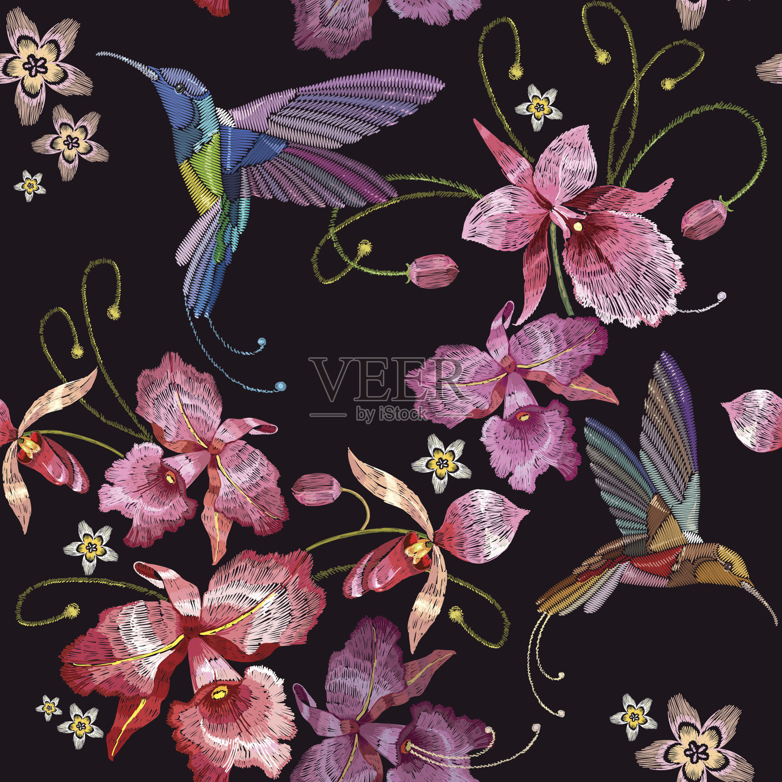 蜂鸟和兰花的奇异热带花卉无缝图案。服装模板，刺绣，t恤设计。美丽的古典刺绣，蜂鸟，兰花花插画图片素材