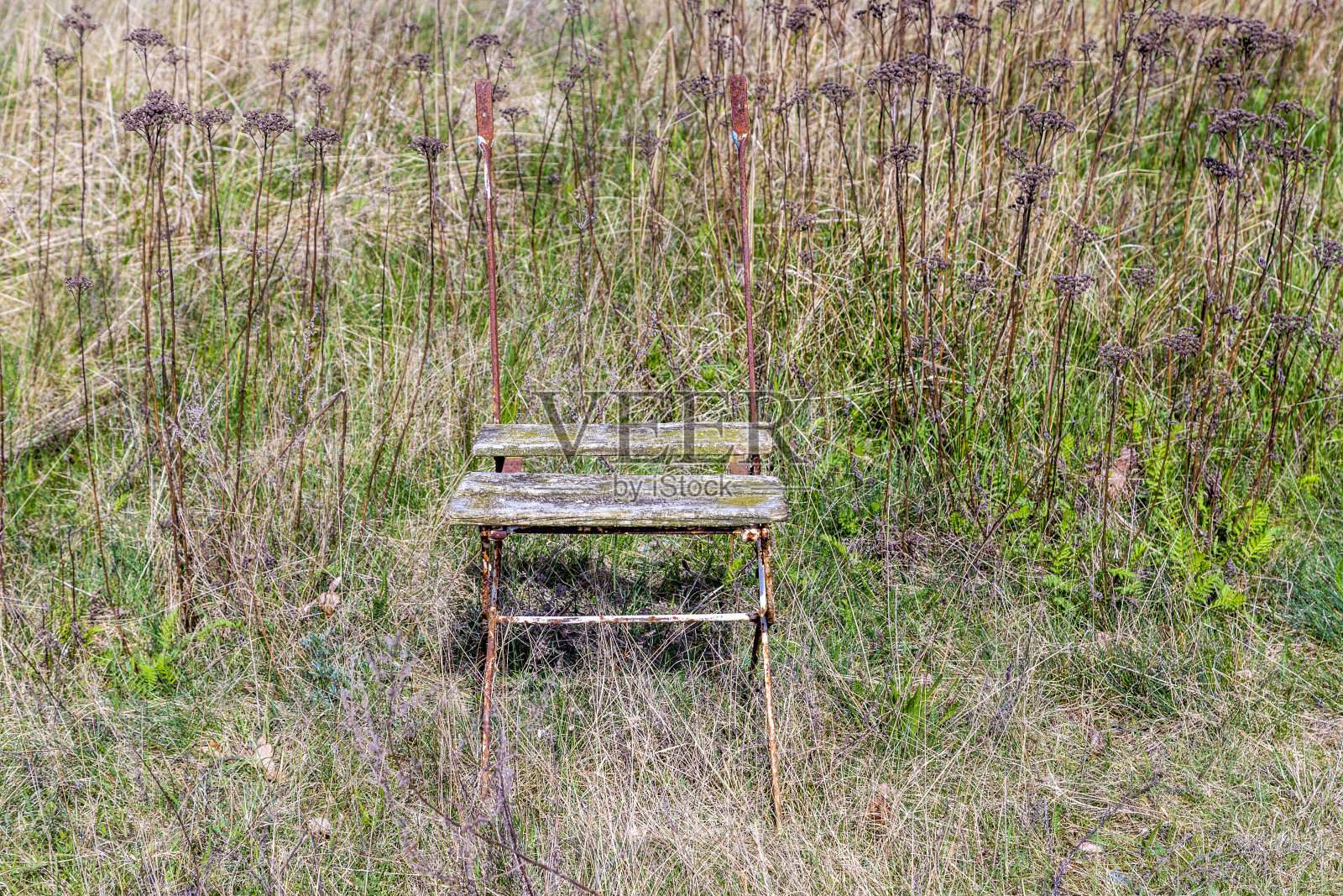 草地上破旧的木椅照片摄影图片