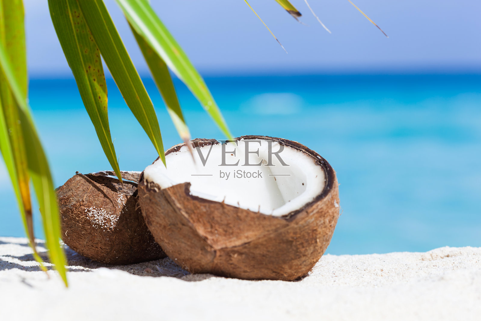 沙滩上破碎的棕色椰子照片摄影图片