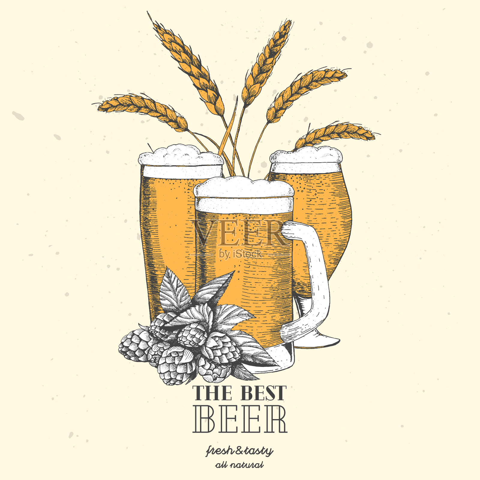 五颜六色的啤酒设计模板。菜单上有大麦，啤酒花和啤酒杯。啤酒厂的概念。手绘矢量图插画图片素材