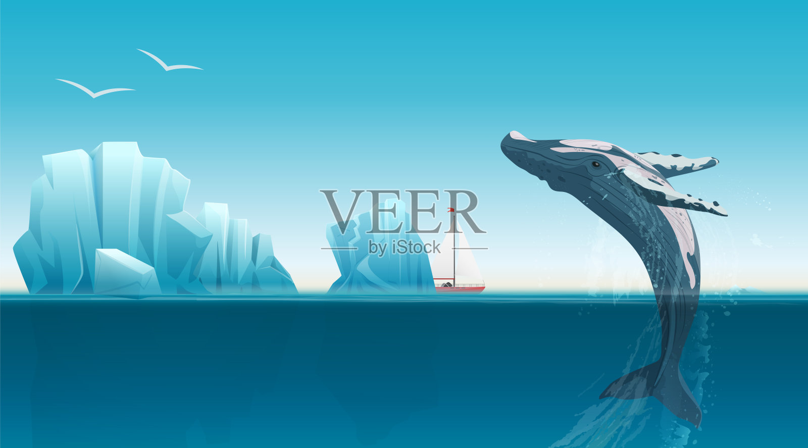 卡片模板与鲸鱼跳跃下的蓝色海洋表面附近的冰山。冬季北极矢量图。冰岛。插画图片素材