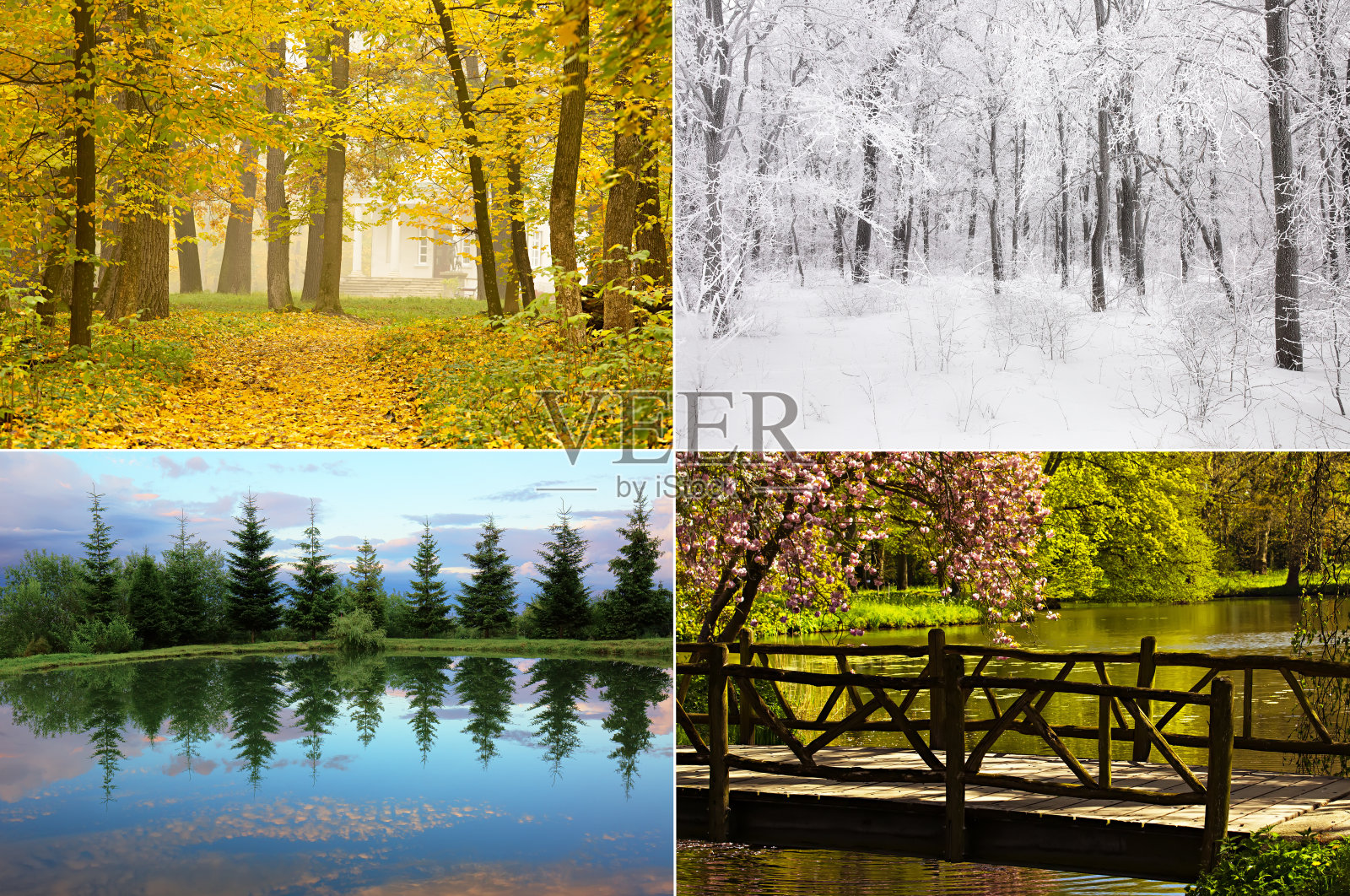 四季结合，四季户外四个在一个背景拼贴照片摄影图片