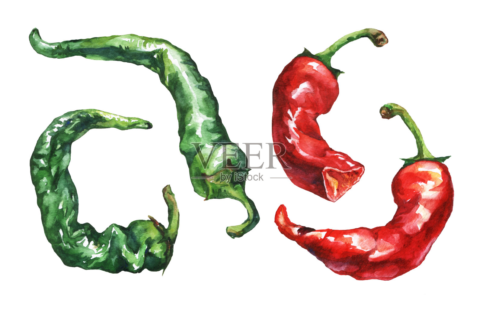 辣椒。手绘水彩画在白色的背景。插画图片素材