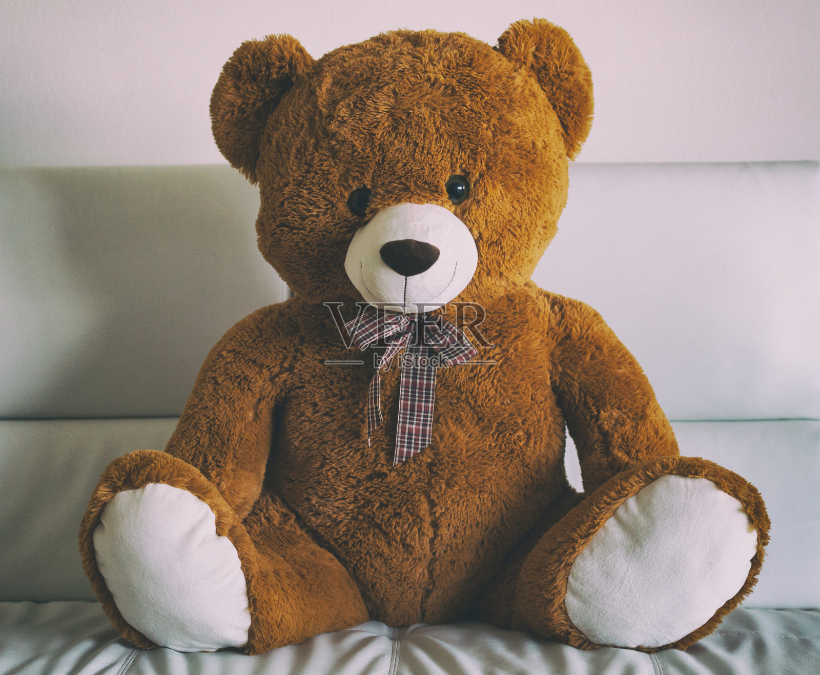 可爱的泰迪熊坐在沙发上照片摄影图片