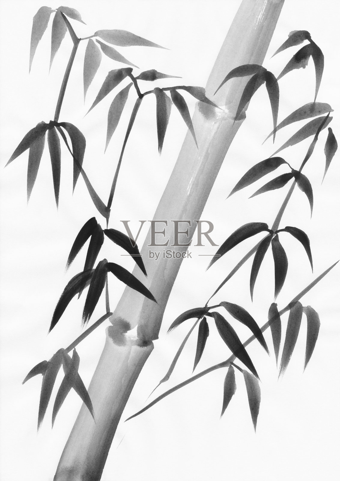 竹叶和竹杆画设计元素图片