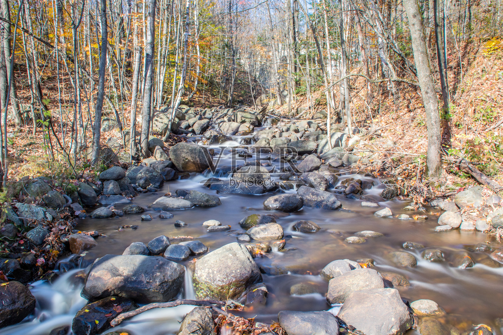 长时间曝光，模糊了河流在森林中的运动。秋天的风景。照片摄影图片