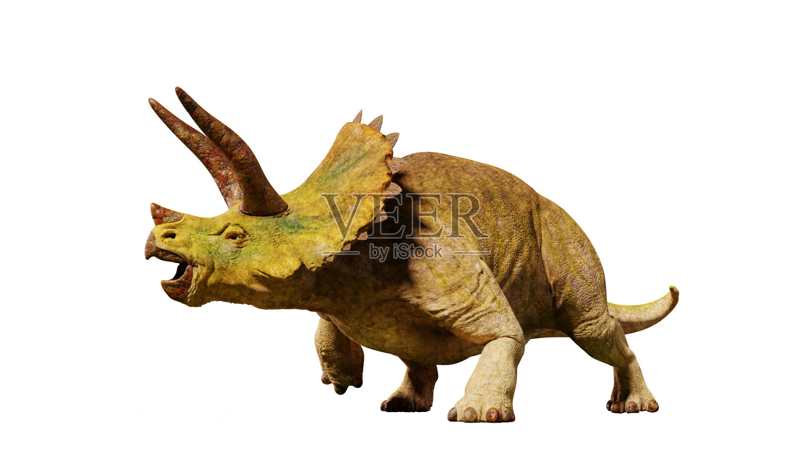 侏罗纪时代的恐怖三角龙(白色背景上的3d渲染)照片摄影图片