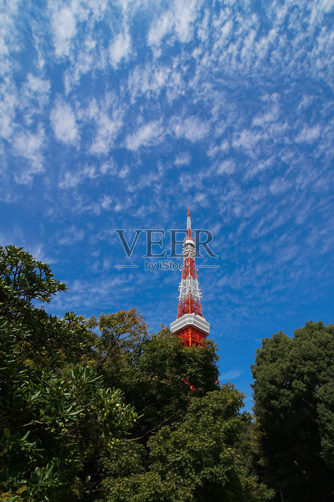 日本公园里的蓝天东京塔。照片摄影图片