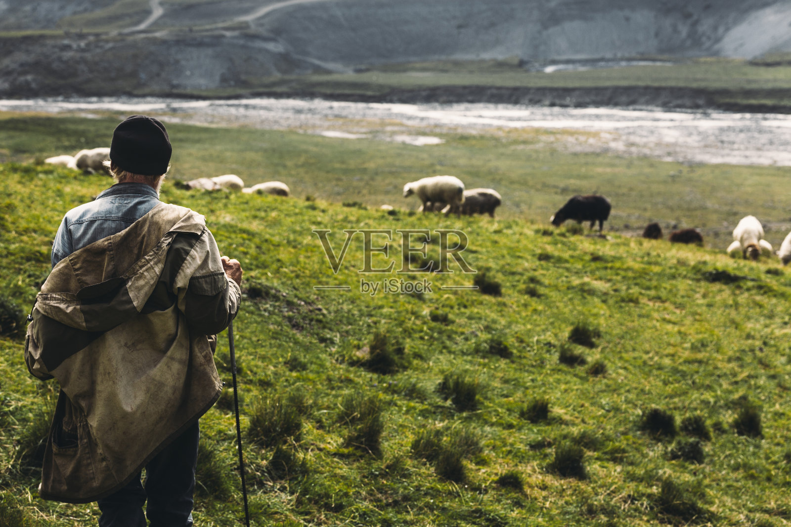 山野牧羊，后视镜。农业的概念照片摄影图片
