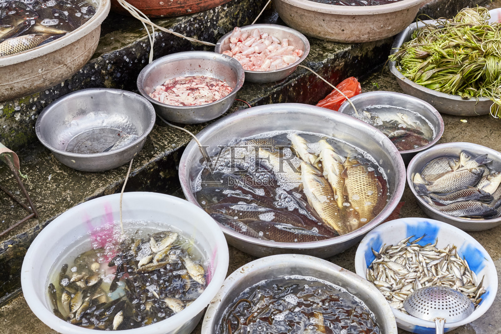 中国当地街头市场上的碗装鲜鱼照片摄影图片