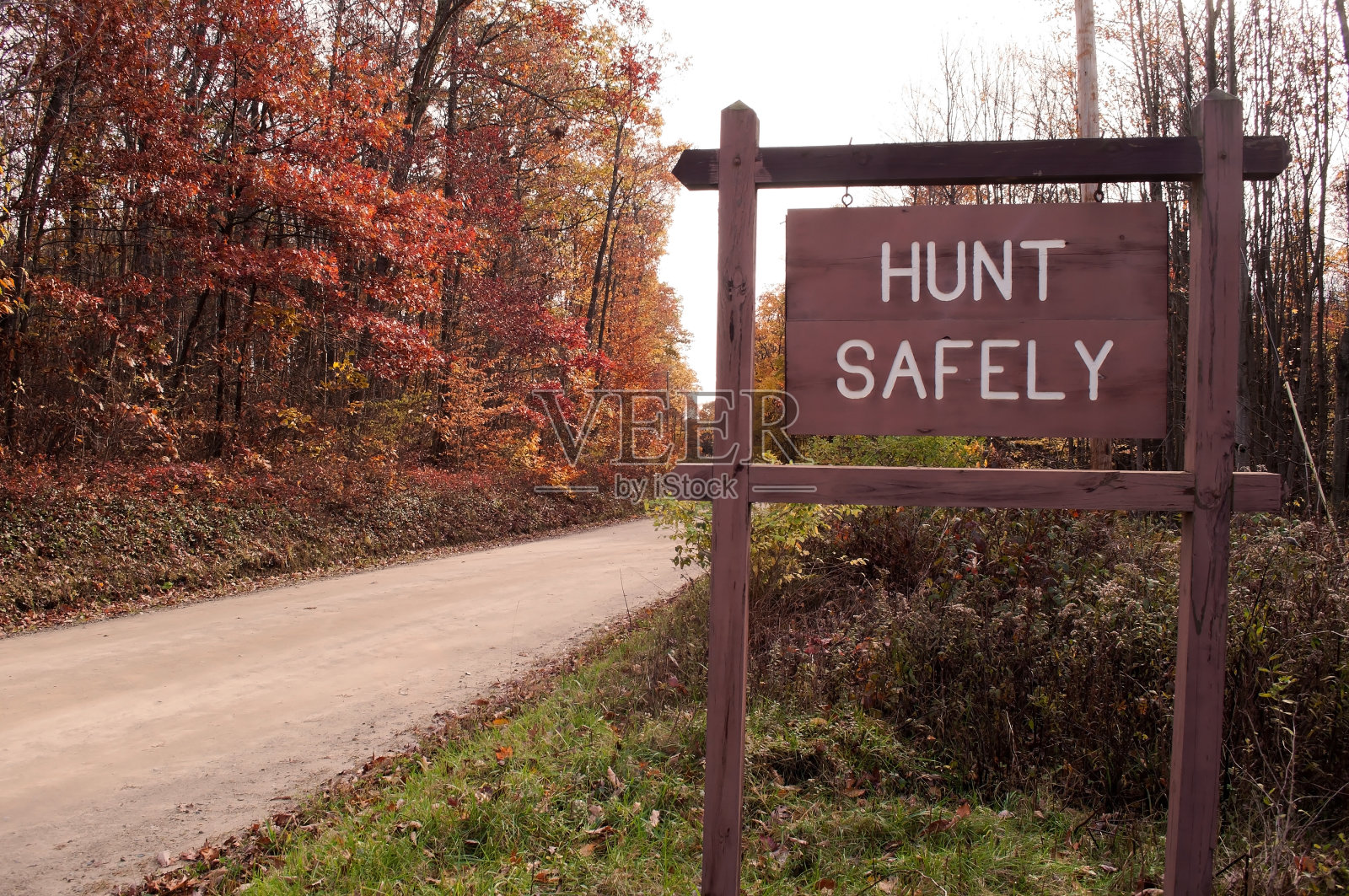 在树林里的路边有一个“狩猎安全”的标志照片摄影图片