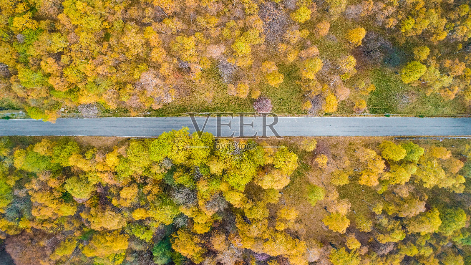 头顶空中俯瞰笔直的道路在多彩的乡村秋天的森林。秋天有橙、绿、黄、红的树林。山间直线的街道路径背景。笔直的以上观点照片摄影图片