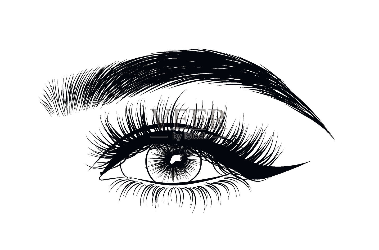 手绘女人的性感奢华的眼睛与完美的形状的眉毛和饱满的睫毛。设计元素图片