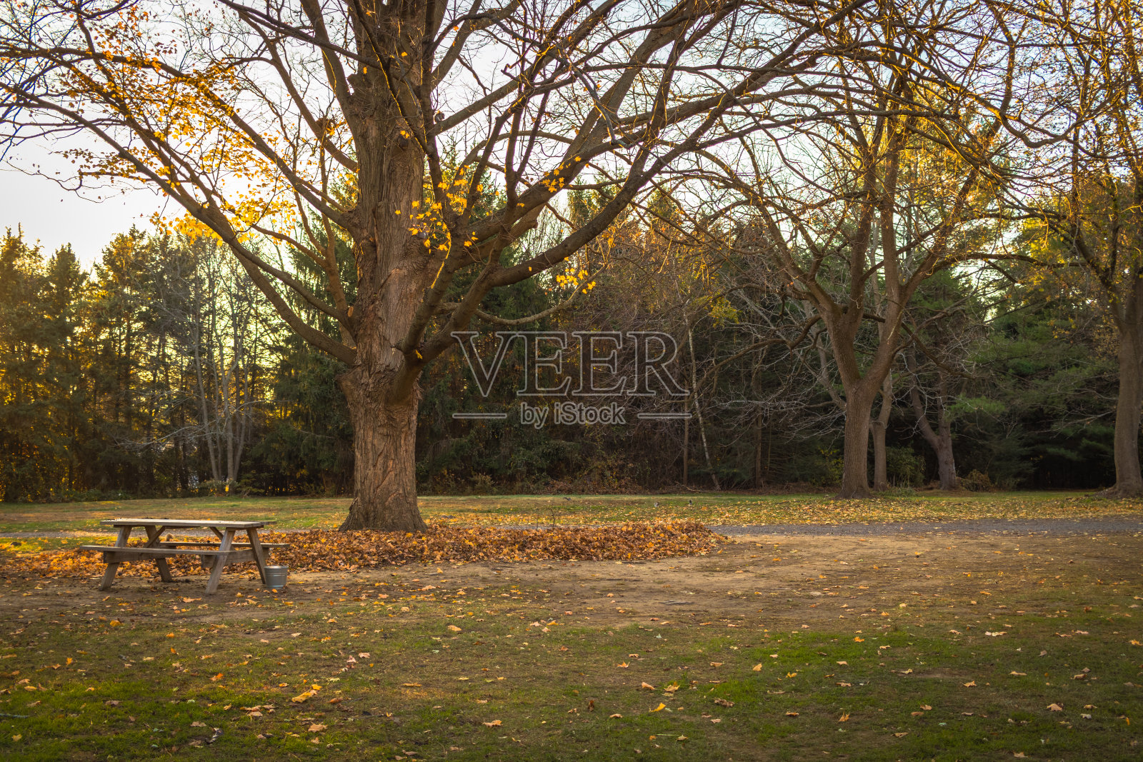 新英格兰公园的秋天日落照片摄影图片